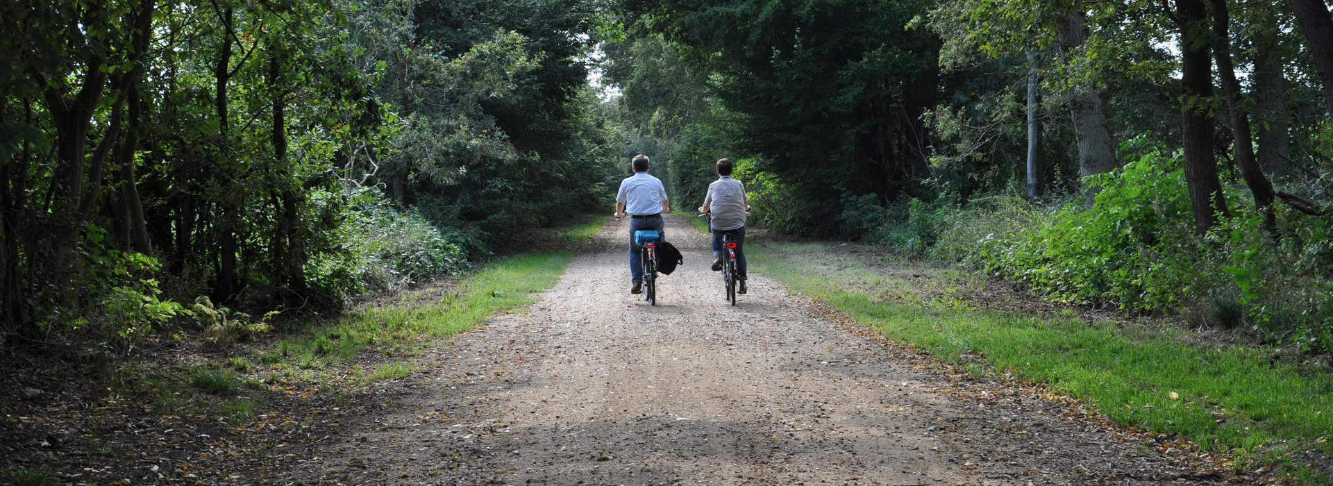campingplatz vogelzunge freizeit fahrrad campingplatz-vogelzunge-freizeit-fahrrad.jpg