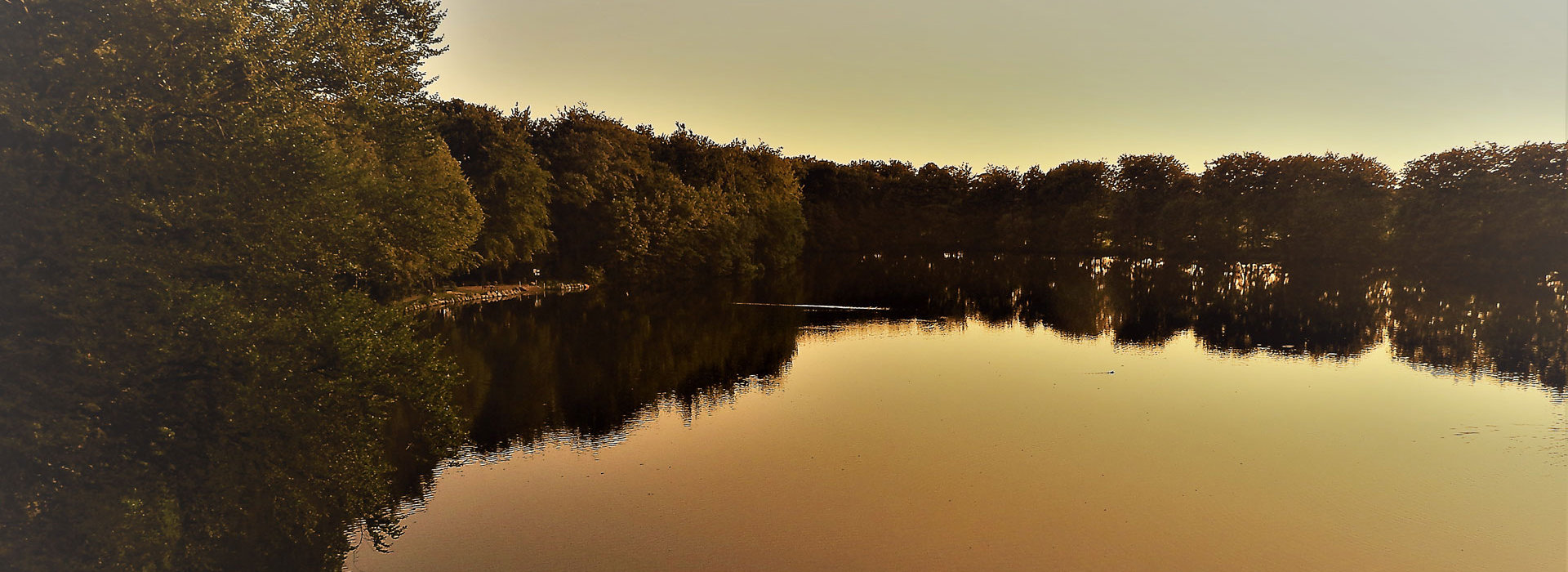 campingplatz vogelzunge mühlenteich campingplatz-vogelzunge-feedback-header.jpg